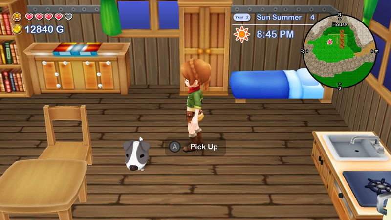 Harvest Moon: The Lost Valley / Harvest Moon: Skytree Village [Collector's edition] image 3