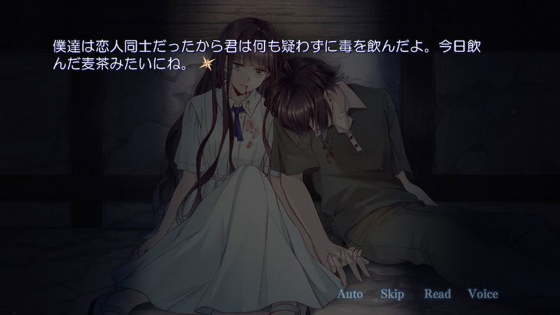 DistortedCode -Seija no Nokoriga- image 2