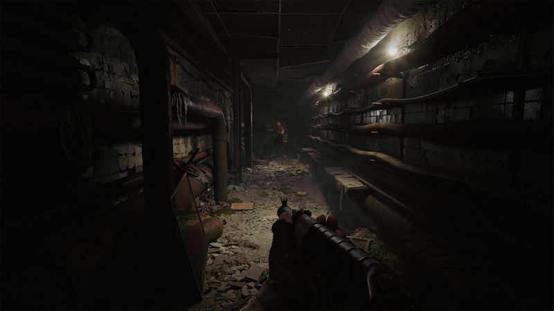 S.T.A.L.K.E.R. 2: Heart of Chornobyl (Ultimate Edition) <span class="ext" style="background-color: #2a475e; color: #FFFFFF;">STEAM</span> <span class="ext ext_digital">digital</span> image 17