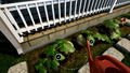 Garden Simulator <span class="ext" style="background-color: #2a475e; color: #FFFFFF;">STEAM</span> <span class="ext ext_digital">digital</span> thumbnail 3