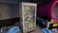 Cash Cleaner Simulator <span class="ext" style="background-color: #2a475e; color: #FFFFFF;">STEAM</span> <span class="ext ext_digital">digital</span> thumbnail 5