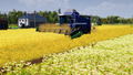 Farm Manager 2021 <span class="ext" style="background-color: #2a475e; color: #FFFFFF;">STEAM</span> <span class="ext ext_digital">digital</span> thumbnail 11