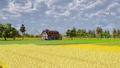 Farm Manager 2021 <span class="ext" style="background-color: #2a475e; color: #FFFFFF;">STEAM</span> <span class="ext ext_digital">digital</span> thumbnail 5