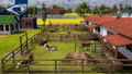 Farm Manager 2021 <span class="ext" style="background-color: #2a475e; color: #FFFFFF;">STEAM</span> <span class="ext ext_digital">digital</span> thumbnail 7
