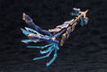 Arcanadea Plastic Model Kit: XenoAlma Trickle Dekapodia (Re-run) thumbnail 6