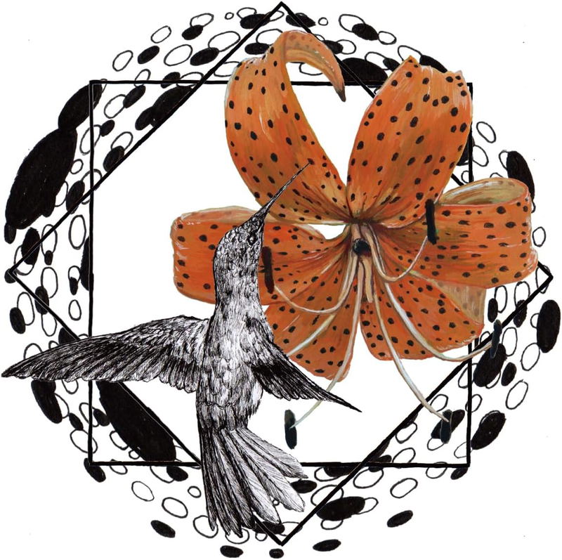 Don't You Worry 'Bout A Thing Feat. Mizqui/Dragonfly [Limited Edition] (Vinyl) image 1