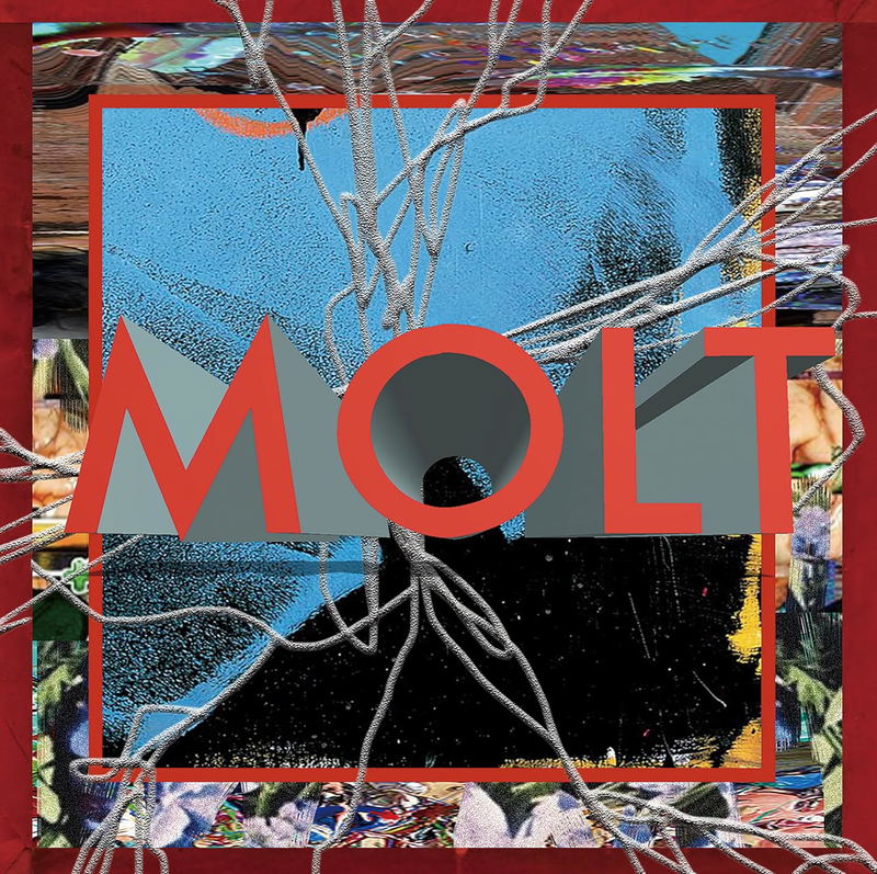 Molt [Limited Edition] (Vinyl) image 1