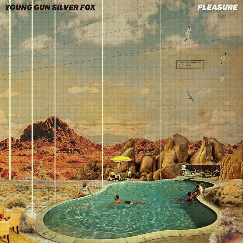 Pleasure [Limited Edition] (Vinyl) image 2