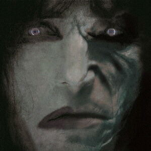 The Entity [Japan Bonus Track] image 1
