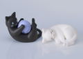Nendoroid Doll Through the Looking-Glass Alice thumbnail 6