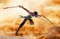 S.H.Figuarts One Piece: Roronoa Zoro Romance Dawn thumbnail 12