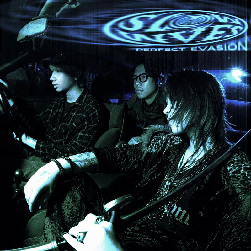 Perfect Evasion [Limited Edition] (Vinyl) image 2