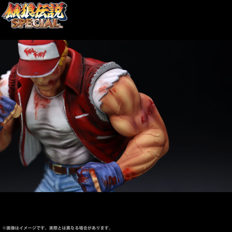 The King of Collectors'24 EX Fatal Fury Special: Terry Bogard (HG Damage Ver.) image 16