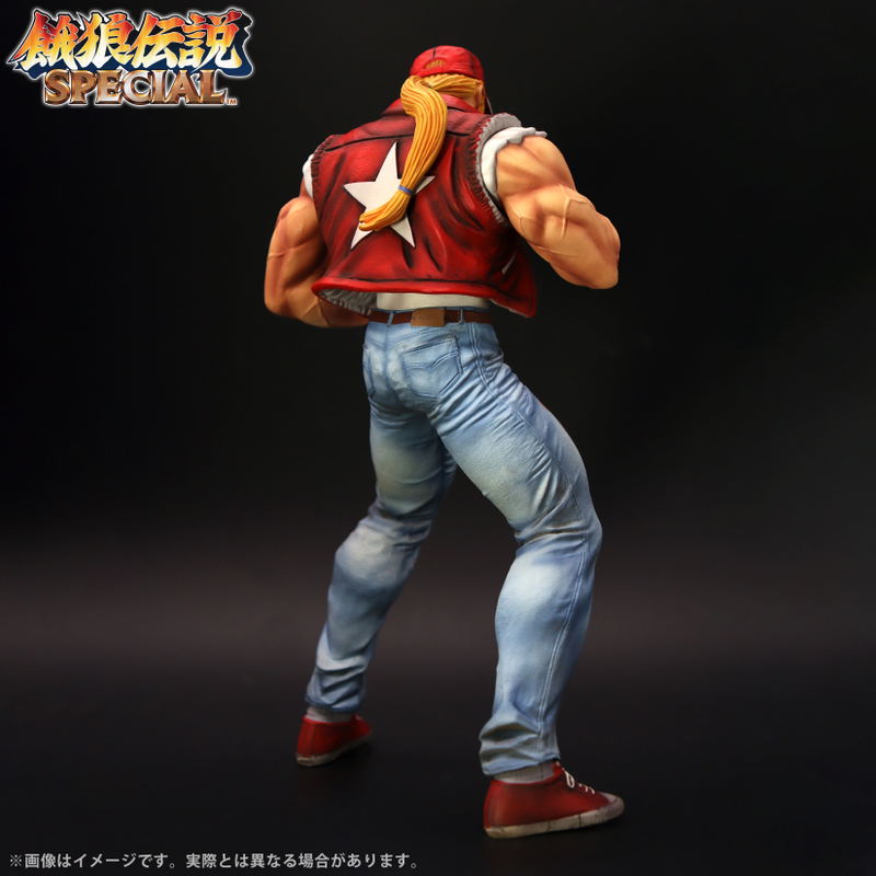 The King of Collectors'24 EX Fatal Fury Special: Terry Bogard (HG Damage Ver.) image 7