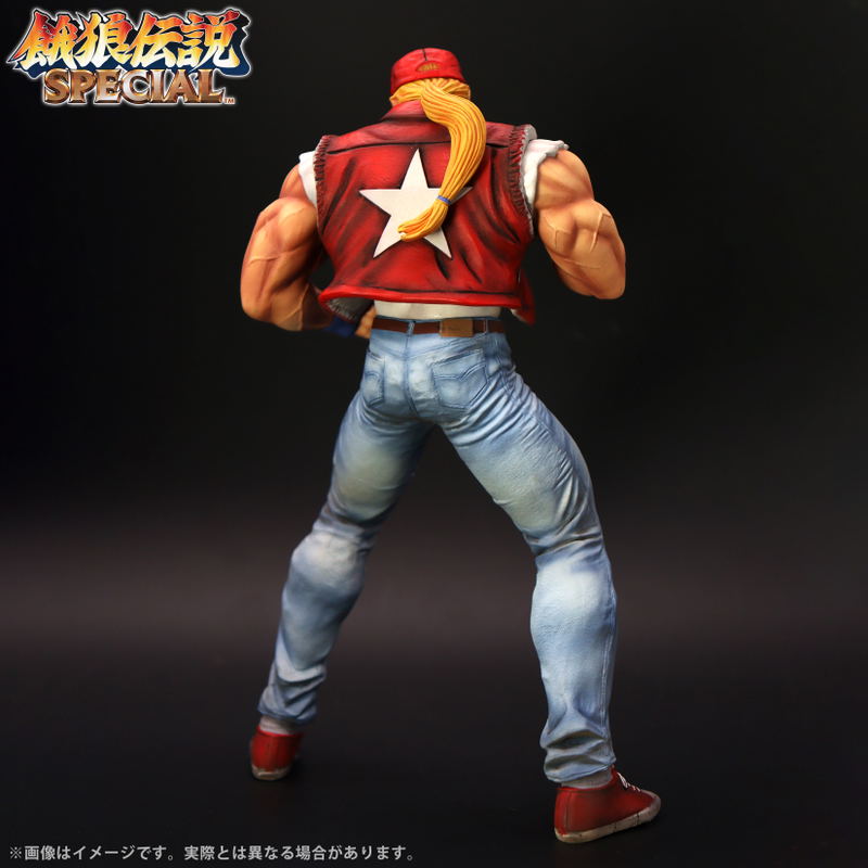 The King of Collectors'24 EX Fatal Fury Special: Terry Bogard (HG Damage Ver.) image 8