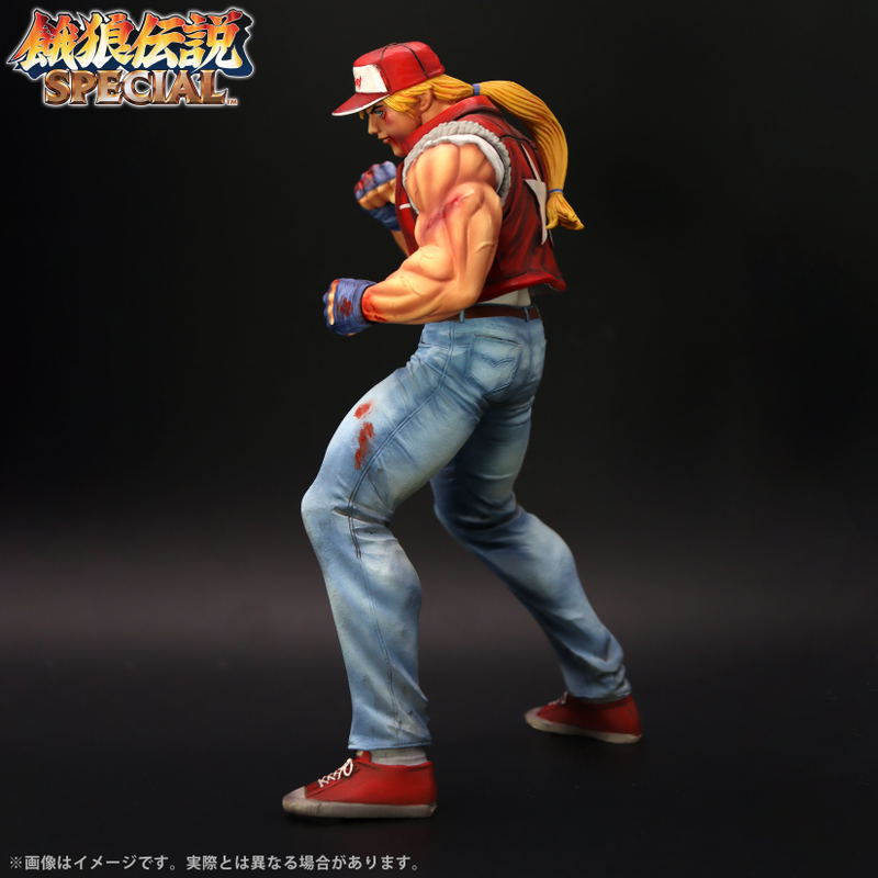 The King of Collectors'24 EX Fatal Fury Special: Terry Bogard (HG Damage Ver.) image 9