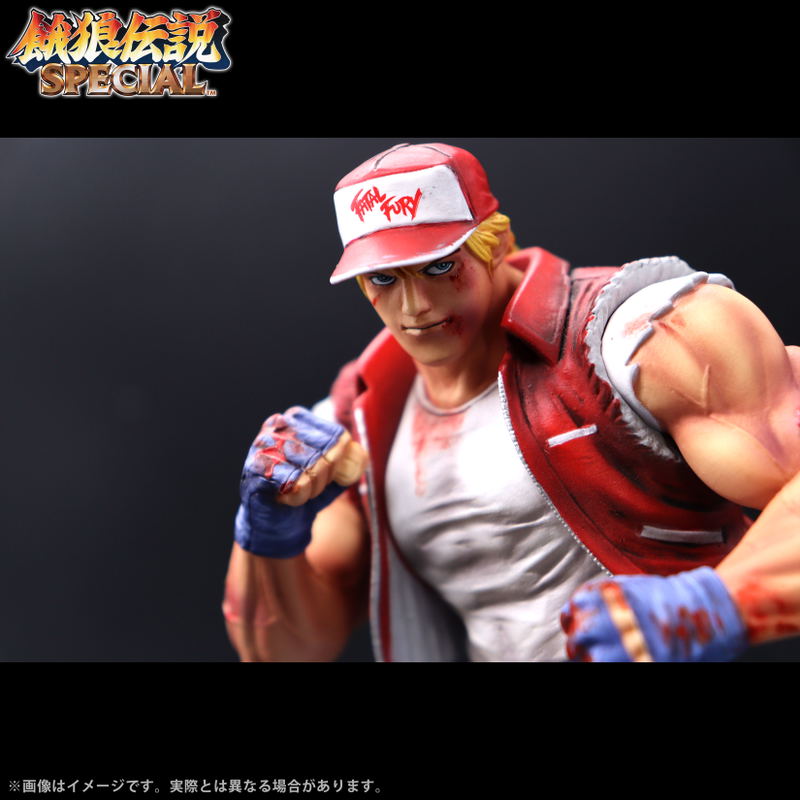 The King of Collectors'24 EX Fatal Fury Special: Terry Bogard (HG Damage Ver.) image 11