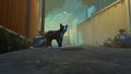 Copycat thumbnail 3