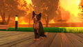 Copycat thumbnail 4