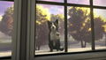 Copycat thumbnail 6