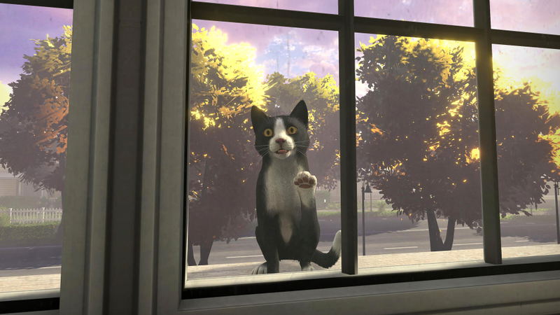 Copycat image 6