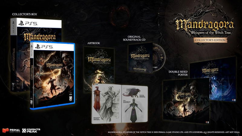 Mandragora Whispers of the Witch Tree [Collector's Edition] image 1
