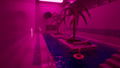 Liminal Shift <span class="ext" style="background-color: #2a475e; color: #FFFFFF;">STEAM</span> <span class="ext ext_digital">digital</span> thumbnail 5
