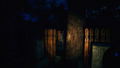 The Sinking Forest thumbnail 5