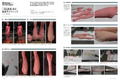 Sculptors Labo 03 thumbnail 12