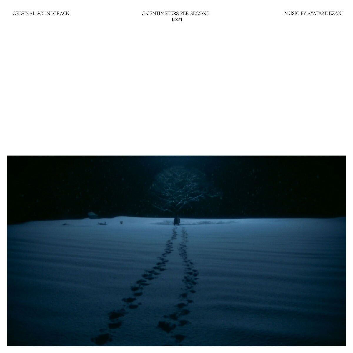 5 Centimeters Per Second Live-Action Movie Original Soundtrack