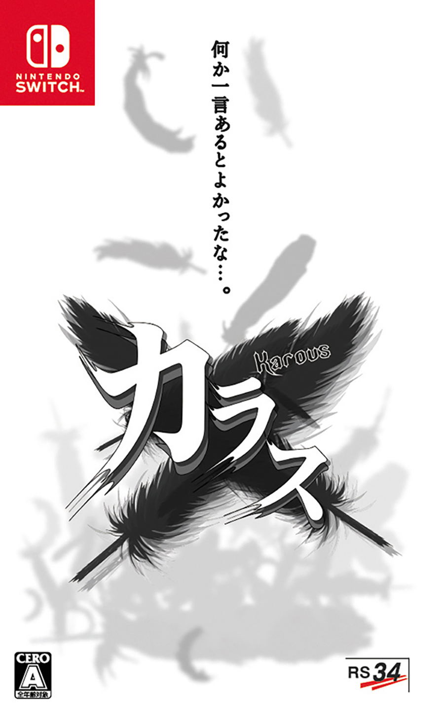 Karous for Nintendo Switch, Nintendo Switch 2