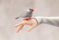 Sasaki and Peeps 1/7 Scale Pre-Painted Figure: Elsa thumbnail 7