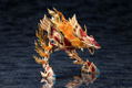 Arcanadea Plastic Model Kit: XenoAlma Flame Straile thumbnail 2