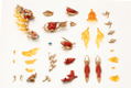 Arcanadea Plastic Model Kit: XenoAlma Flame Straile thumbnail 26