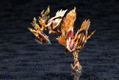 Arcanadea Plastic Model Kit: XenoAlma Flame Straile thumbnail 5