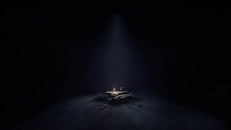 REANIMAL [Deluxe Edition] <span class="ext" style="background-color: #ff8c00; color: #FFFFFF;">Game Key Cart</span> image 10