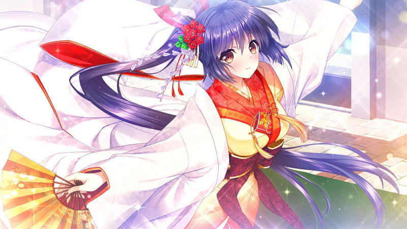 Yggdra Kingdom [Limited Edition] image 11