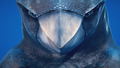 Glaciered <span class="ext" style="background-color: #2a475e; color: #FFFFFF;">STEAM</span> <span class="ext ext_digital">digital</span> thumbnail 12