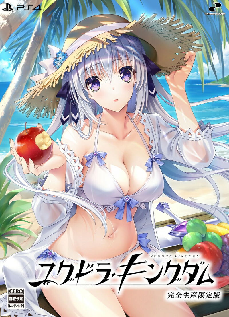 Yggdra Kingdom [Limited Edition] image 1