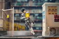 Ghost in the Shell (1995) Pre-Painted Action Figure: Hyper Body Kusanagi Motoko (Simple Armored Suit Ver.) thumbnail 14