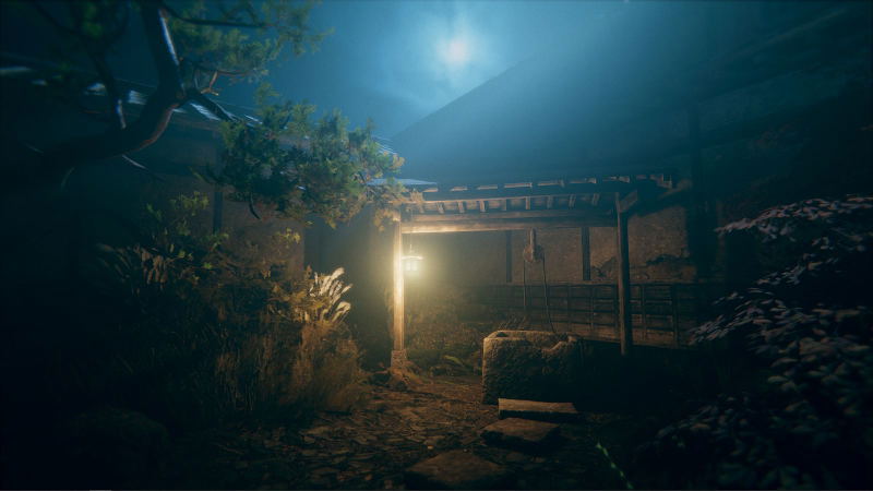 Hollow Cocoon Special Edition [Limited Deluxe Edition] (Multi-Language) image 4