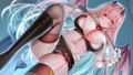 Kissrim thumbnail 5