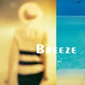 Breeze (Clear Blue Vinyl) thumbnail 2