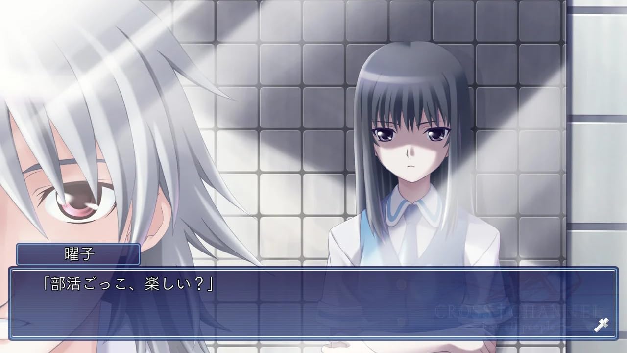 Cross Channel: For All people for Nintendo Switch, Nintendo Switch 2