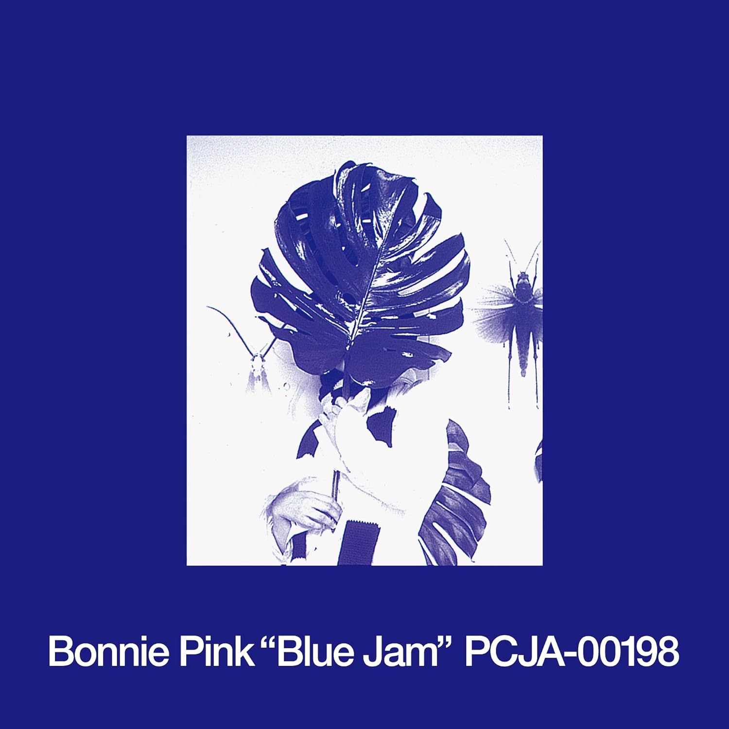 Blue Jam (Vinyl) — Import Game Deal