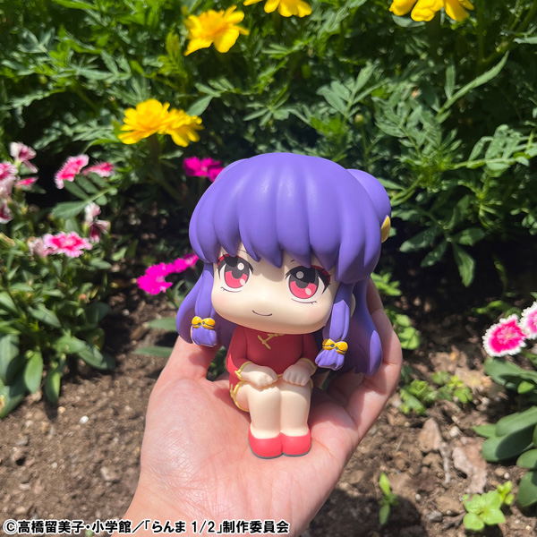 Look Up Series Ranma 1/2 Shampoo image 7