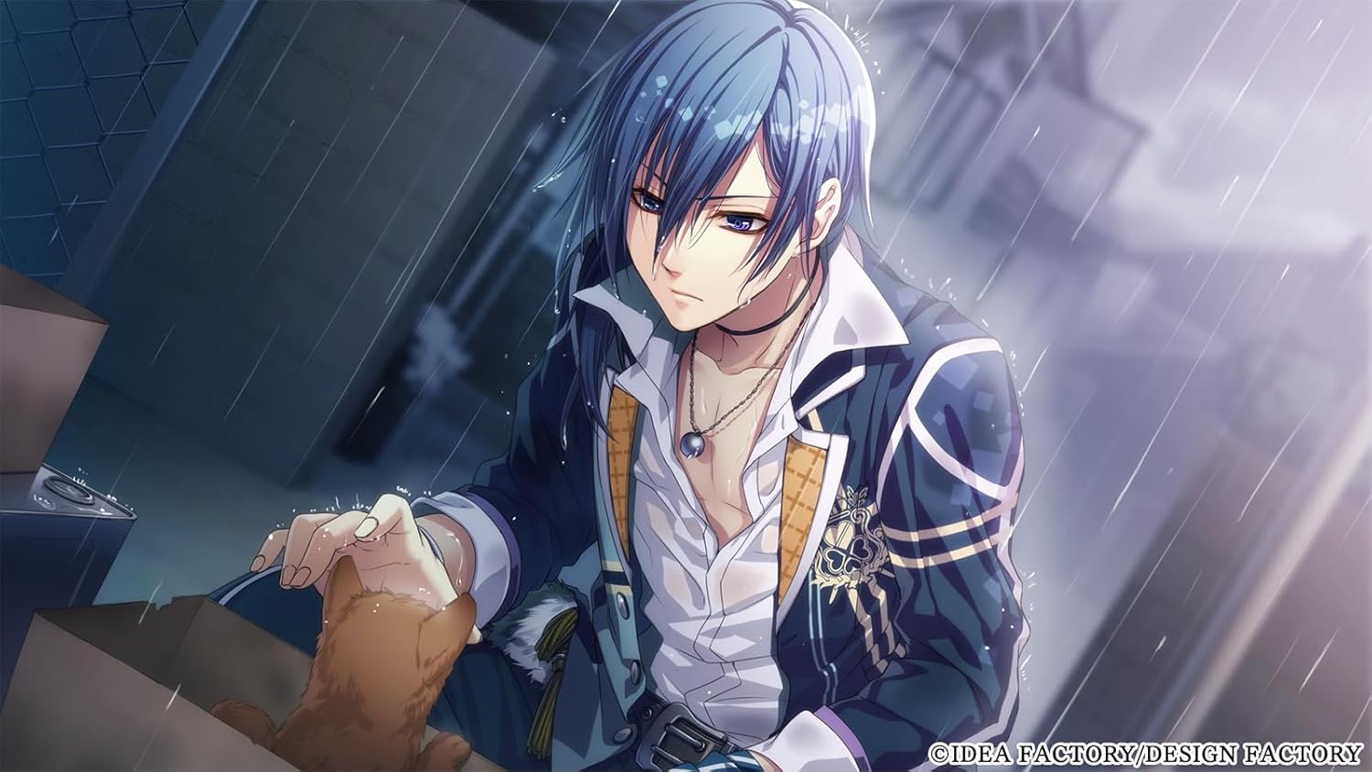 Glass Heart Princess for Nintendo Switch for Nintendo Switch