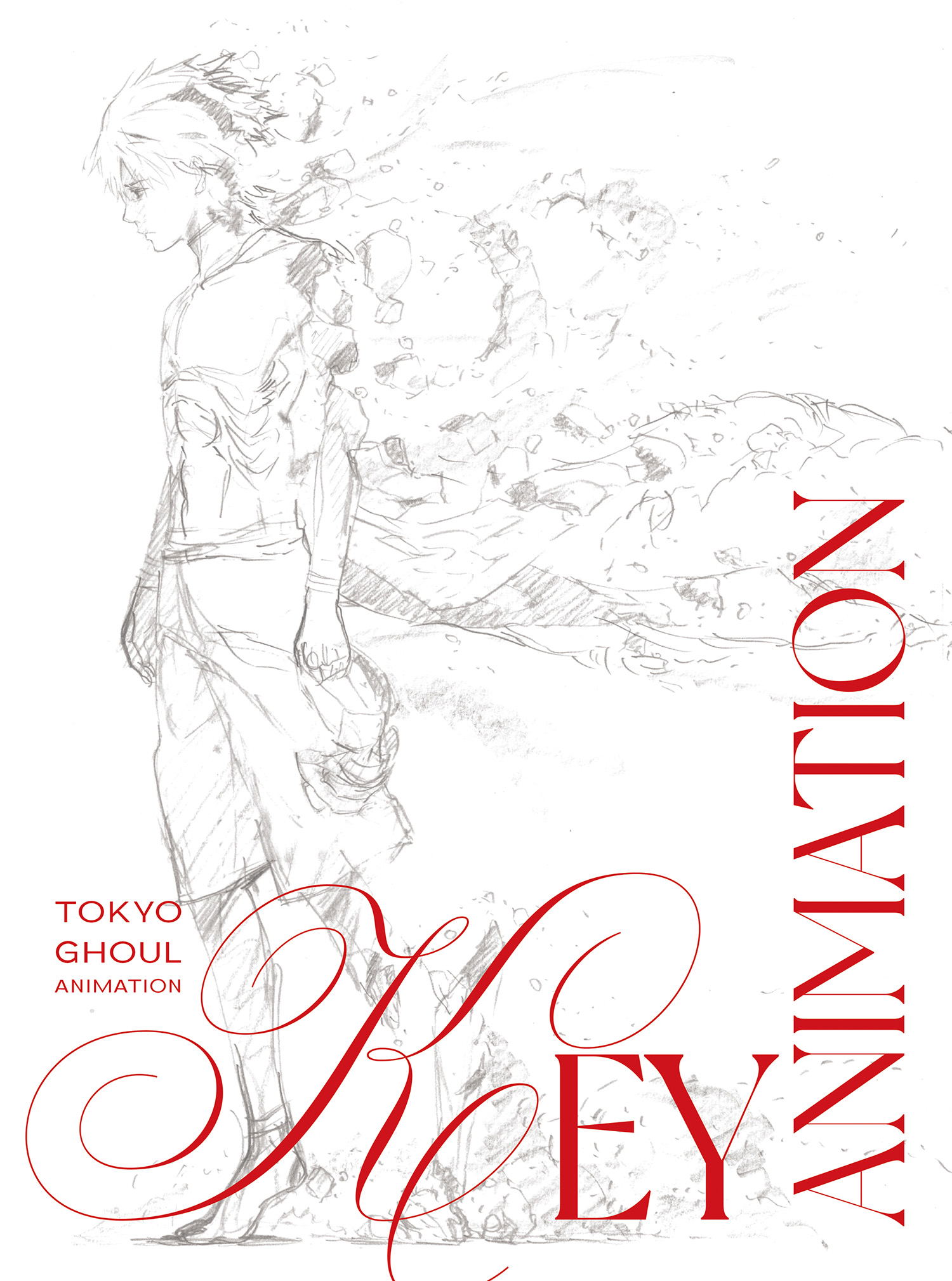 アート・デザイン・音楽 TOKYO GHOUL ANIMATION COMPLETE SET Tokyo Ghoul Design Works & Original Artwork Collection Complete Set