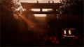 Shadow Corridor Collection (Multi-Language) thumbnail 10