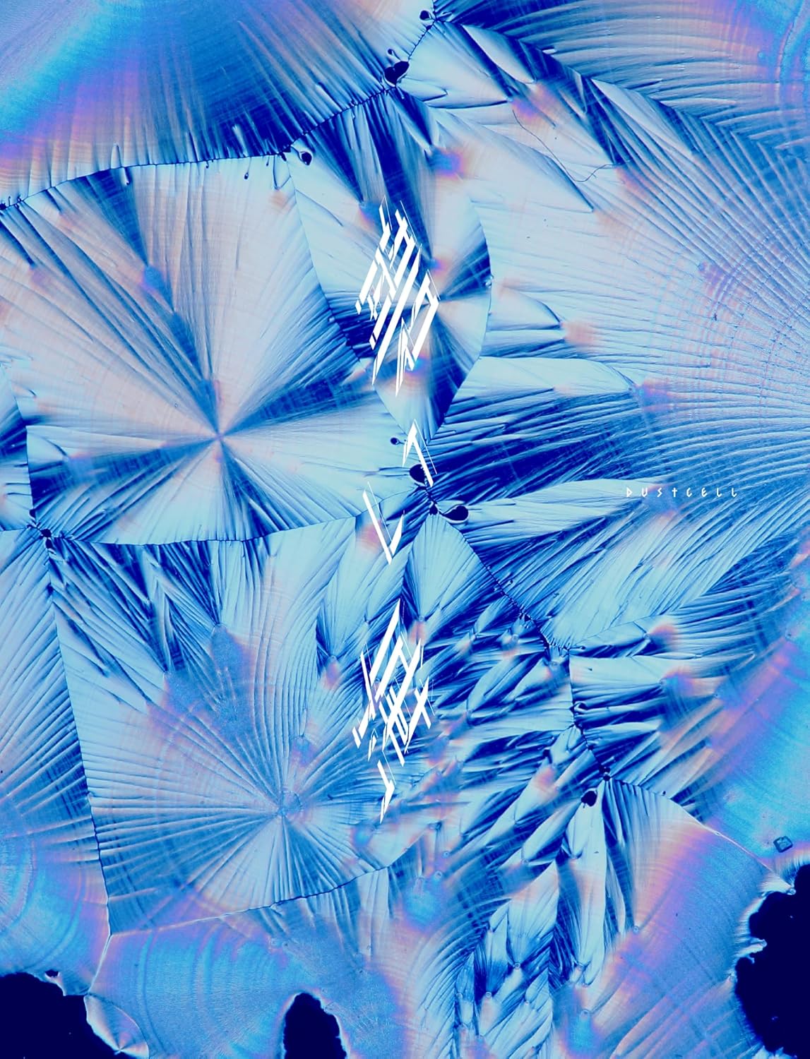 Aoi Umi [Limited Edition] — Import Game Deal